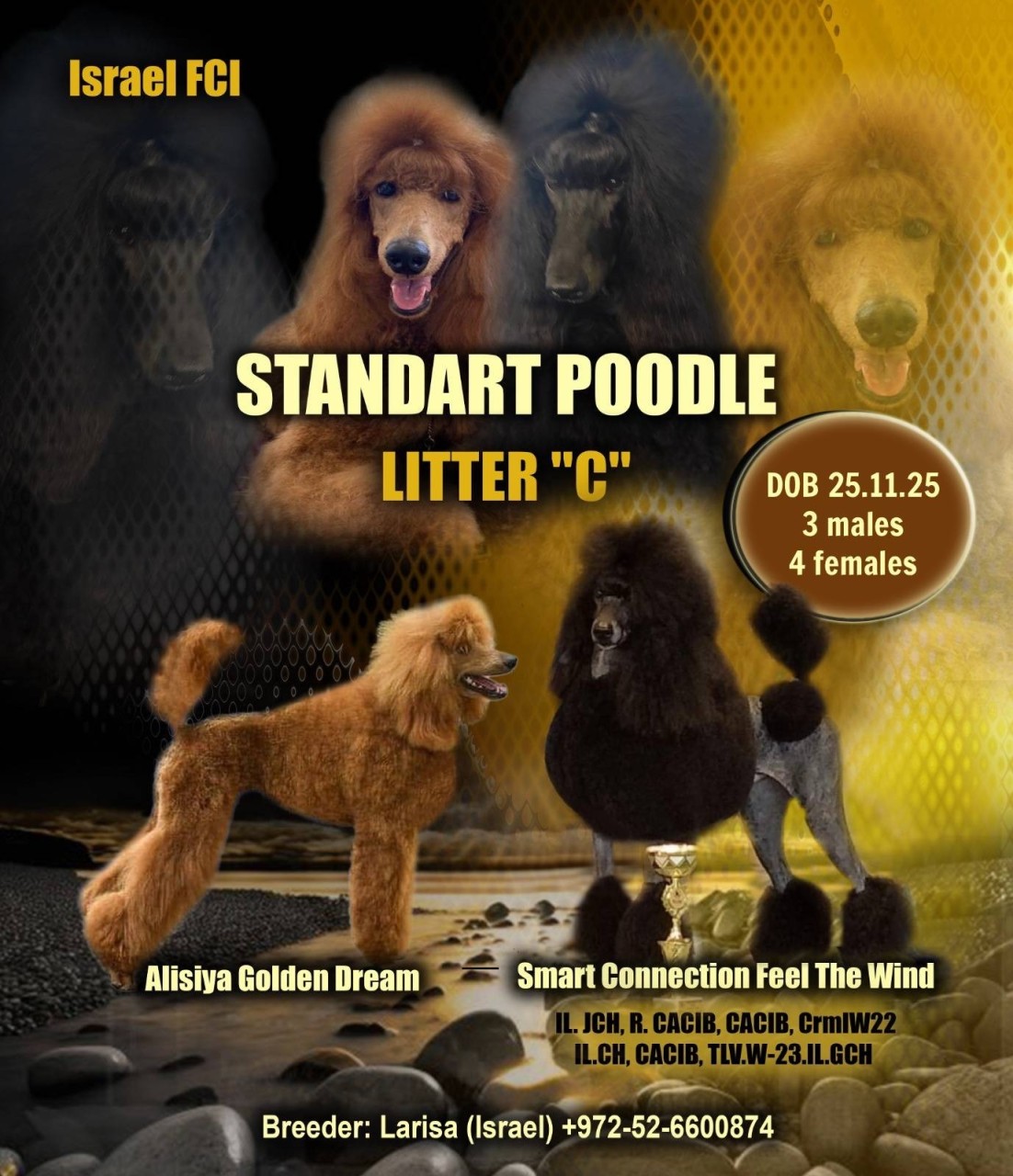 000fa9ceb98-c351-43db-8552-ae31bc4a1fe7