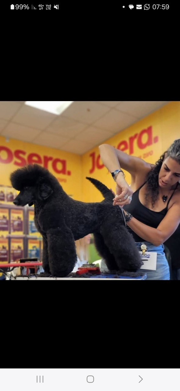 000screenshot-20251128-075926-facebook