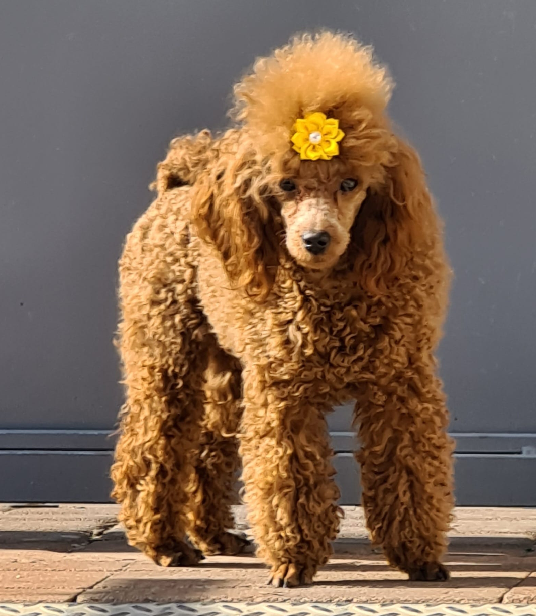 Screenshot_20251216-191835