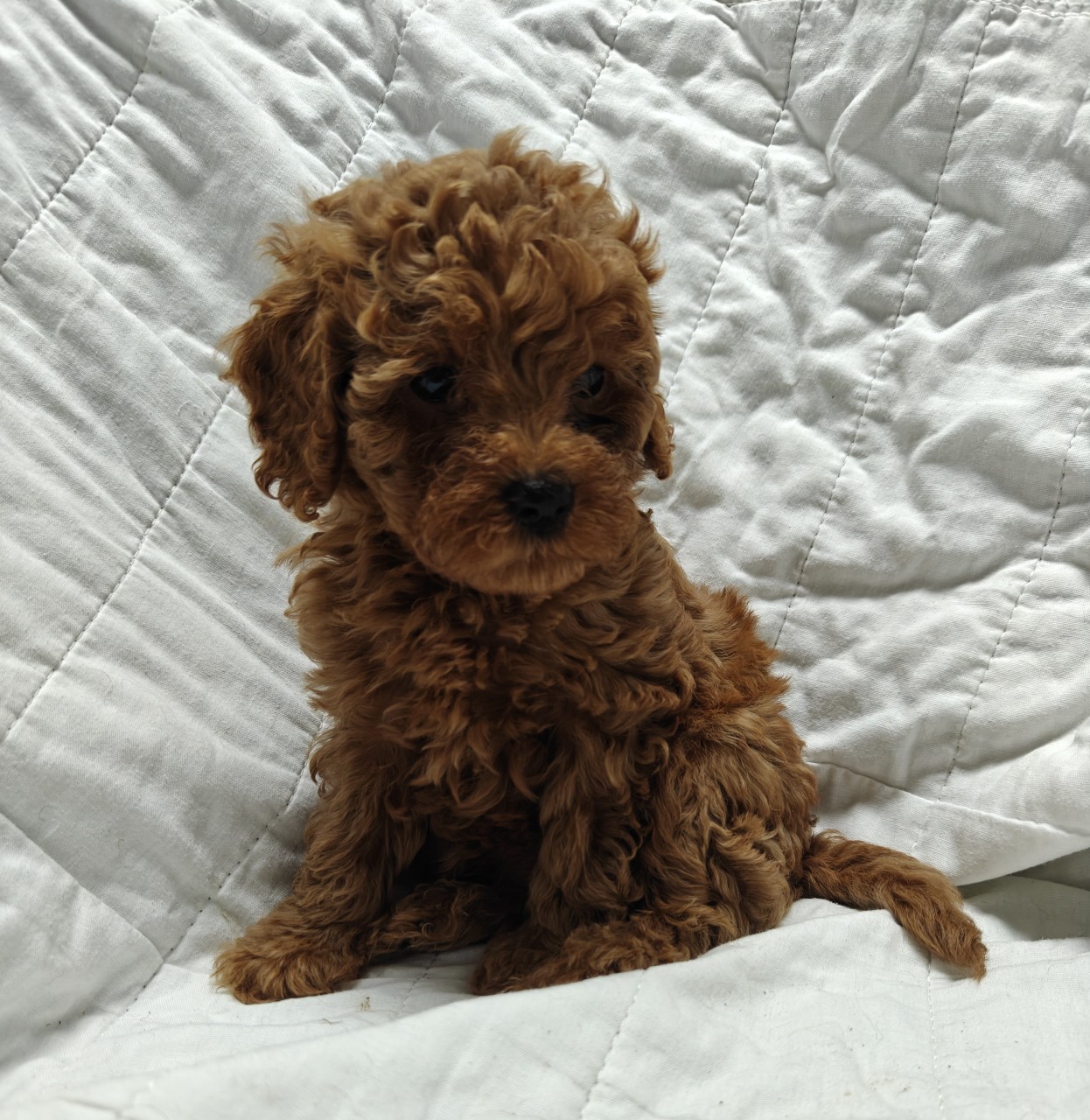 000img20260104185416