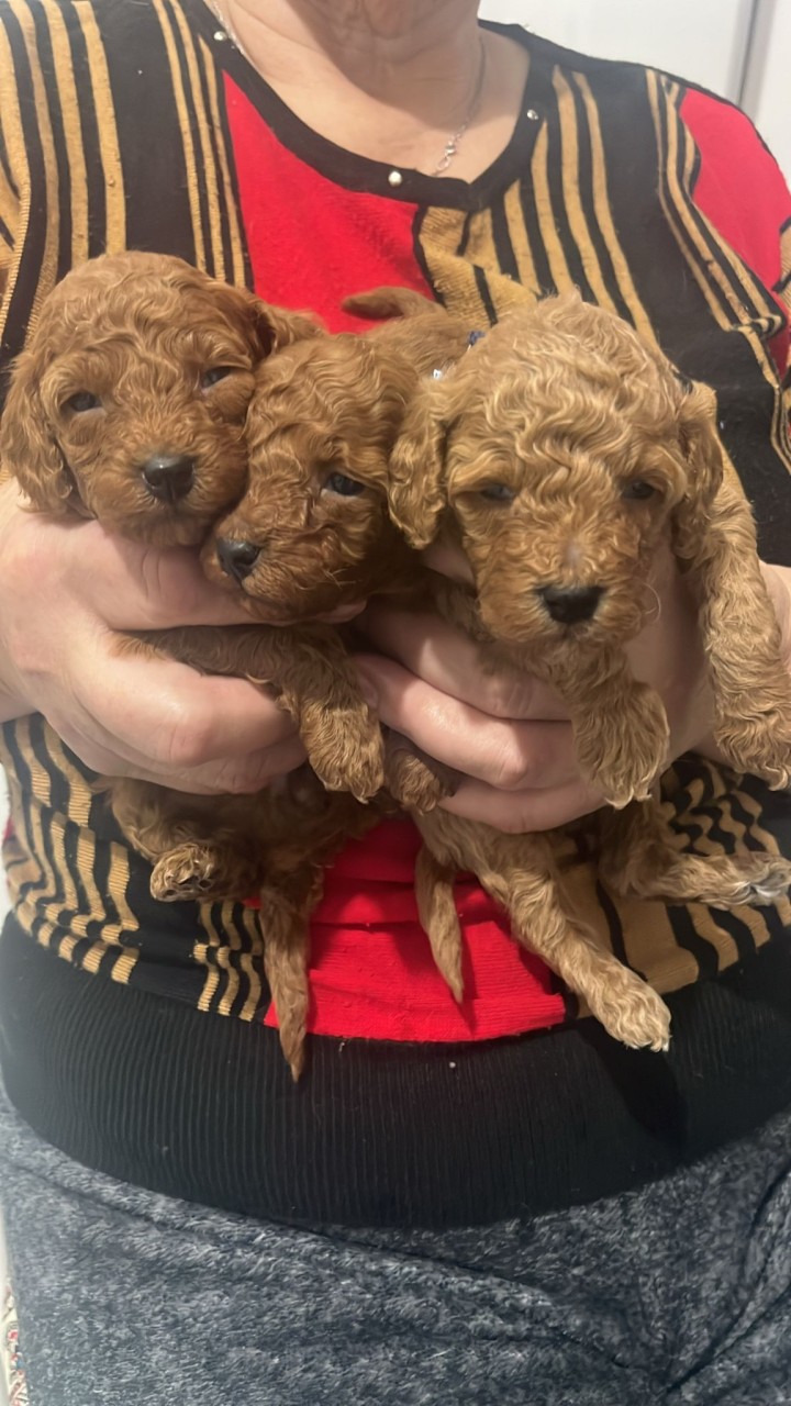 000d1b31c08-c06a-41b5-b33b-881a4e140ac3